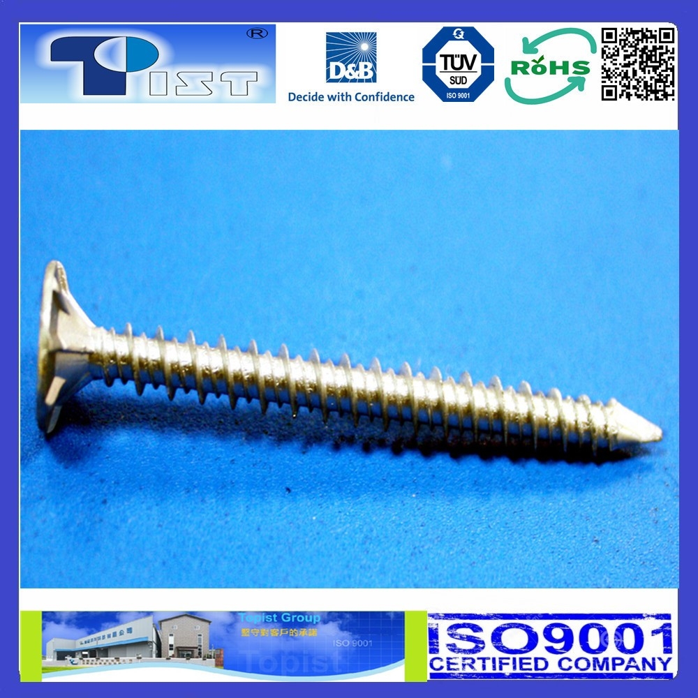 Drywall Screws for Cement Board Cement Board Screw Topist