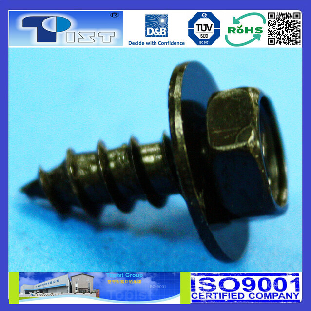 SEMS Screw-20