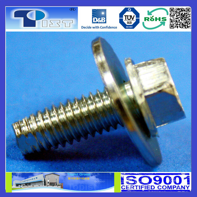 SEMS Screw-21