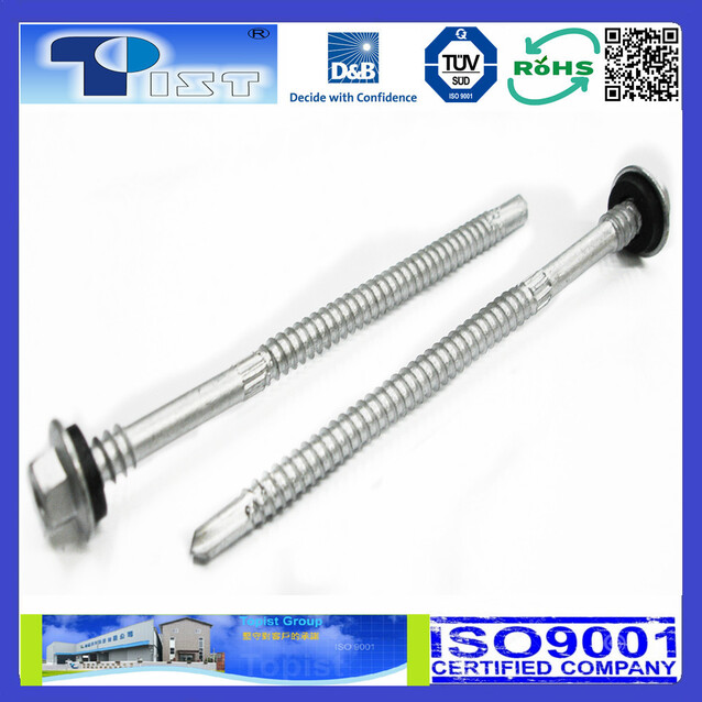 六角ダーファヘッド、二層ストレートテールネジ、黒のEPDMを装着。